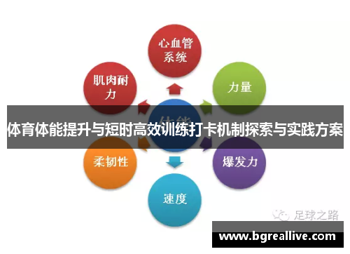 体育体能提升与短时高效训练打卡机制探索与实践方案