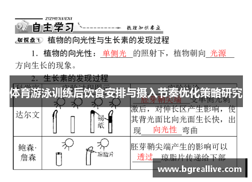 体育游泳训练后饮食安排与摄入节奏优化策略研究